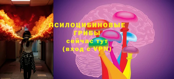 твердый Новодвинск