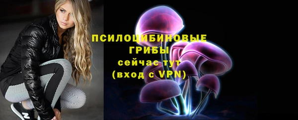 марихуана Новозыбков