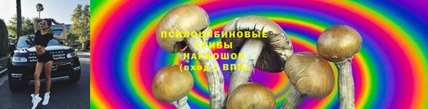 марихуана Новозыбков