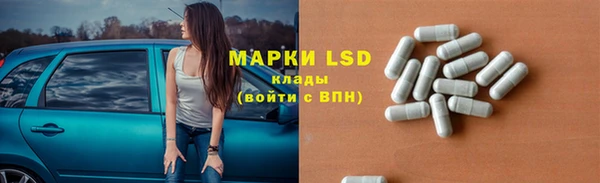 твердый Новодвинск