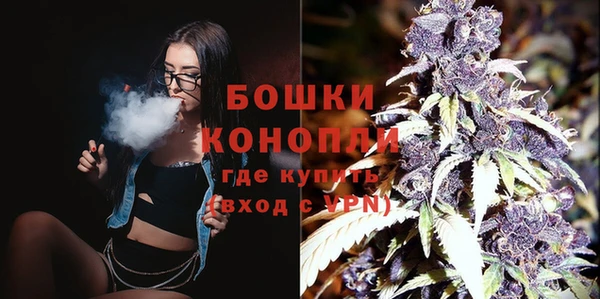 твердый Новодвинск
