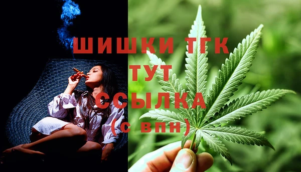 гашик Нязепетровск