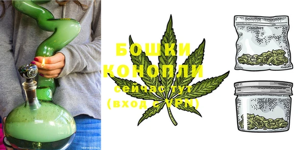 твердый Новодвинск