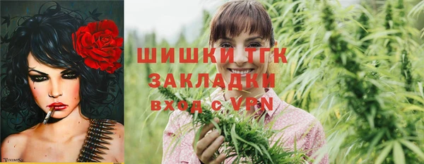 твердый Новодвинск