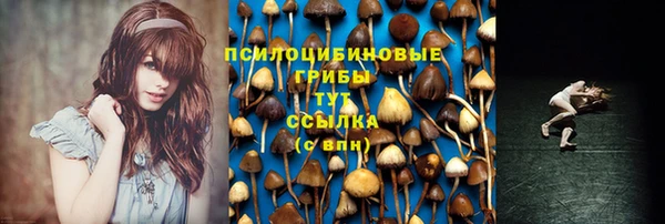 марихуана Новозыбков