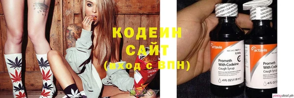 твердый Новодвинск