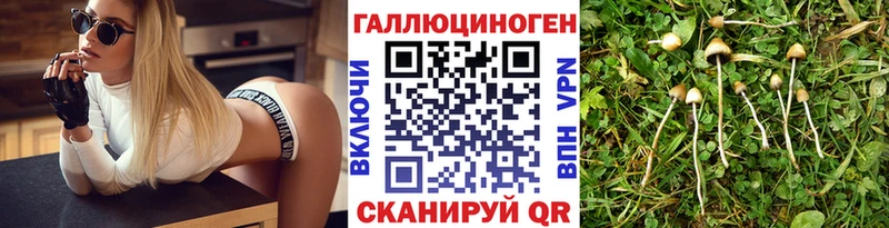 Галлюциногенные грибы Psilocybine cubensis  Купить закладки  Фрязино 